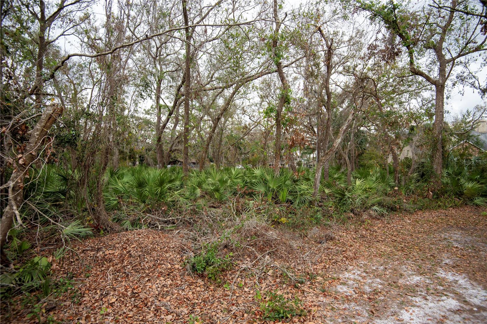 ELLIOT ST, RIVERVIEW, FL, 33578