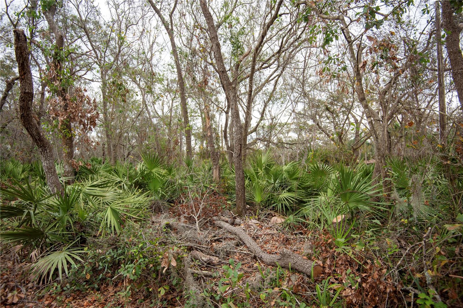 ELLIOT ST, RIVERVIEW, FL, 33578