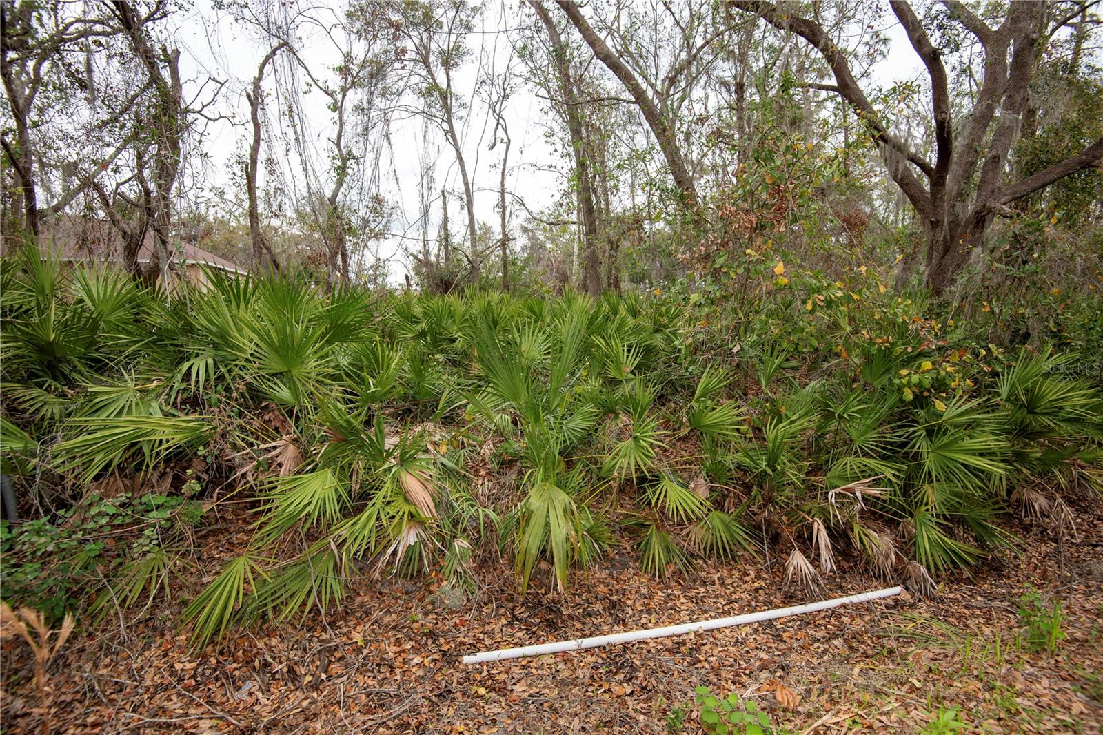 ELLIOT ST, RIVERVIEW, FL, 33578