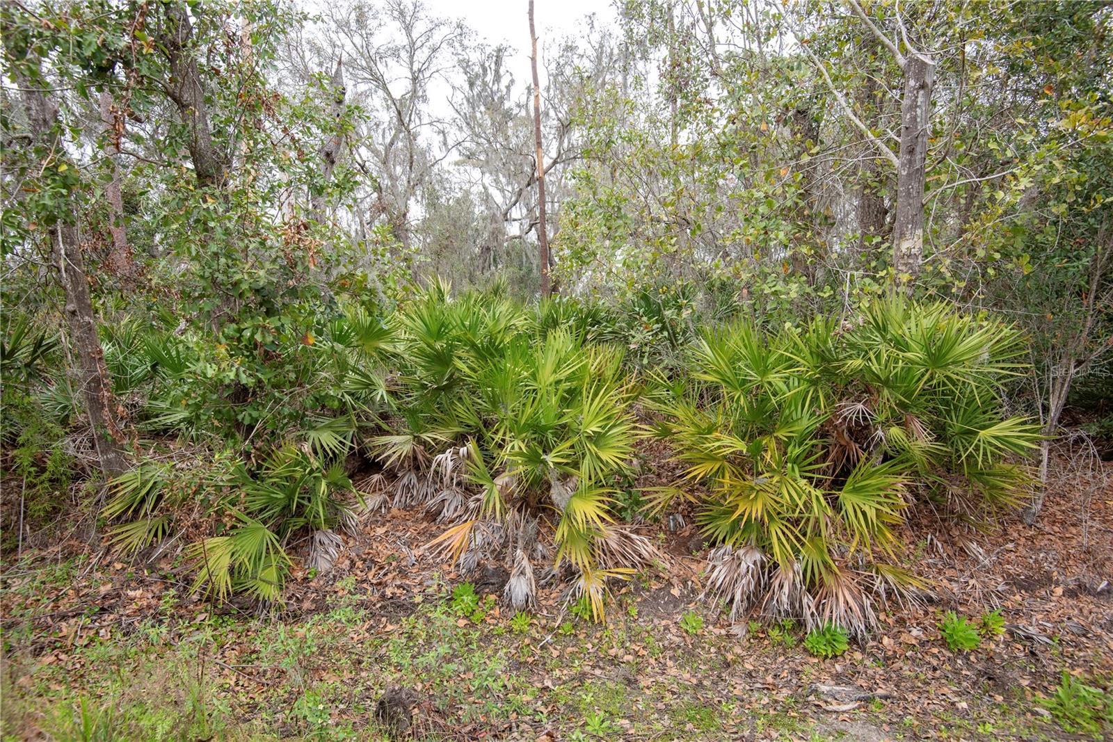 ELLIOT ST, RIVERVIEW, FL, 33578