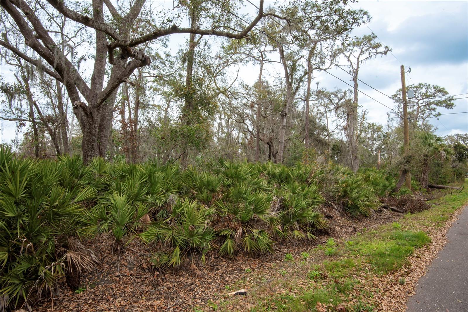 ELLIOT ST, RIVERVIEW, FL, 33578