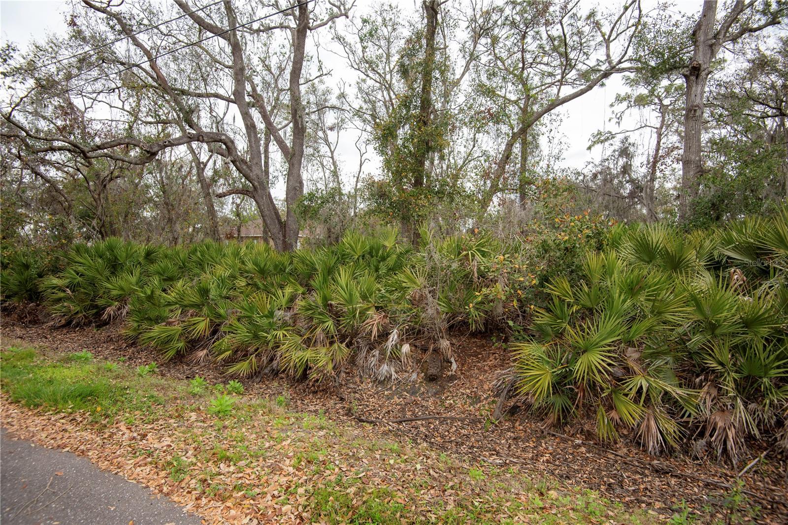 ELLIOT ST, RIVERVIEW, FL, 33578