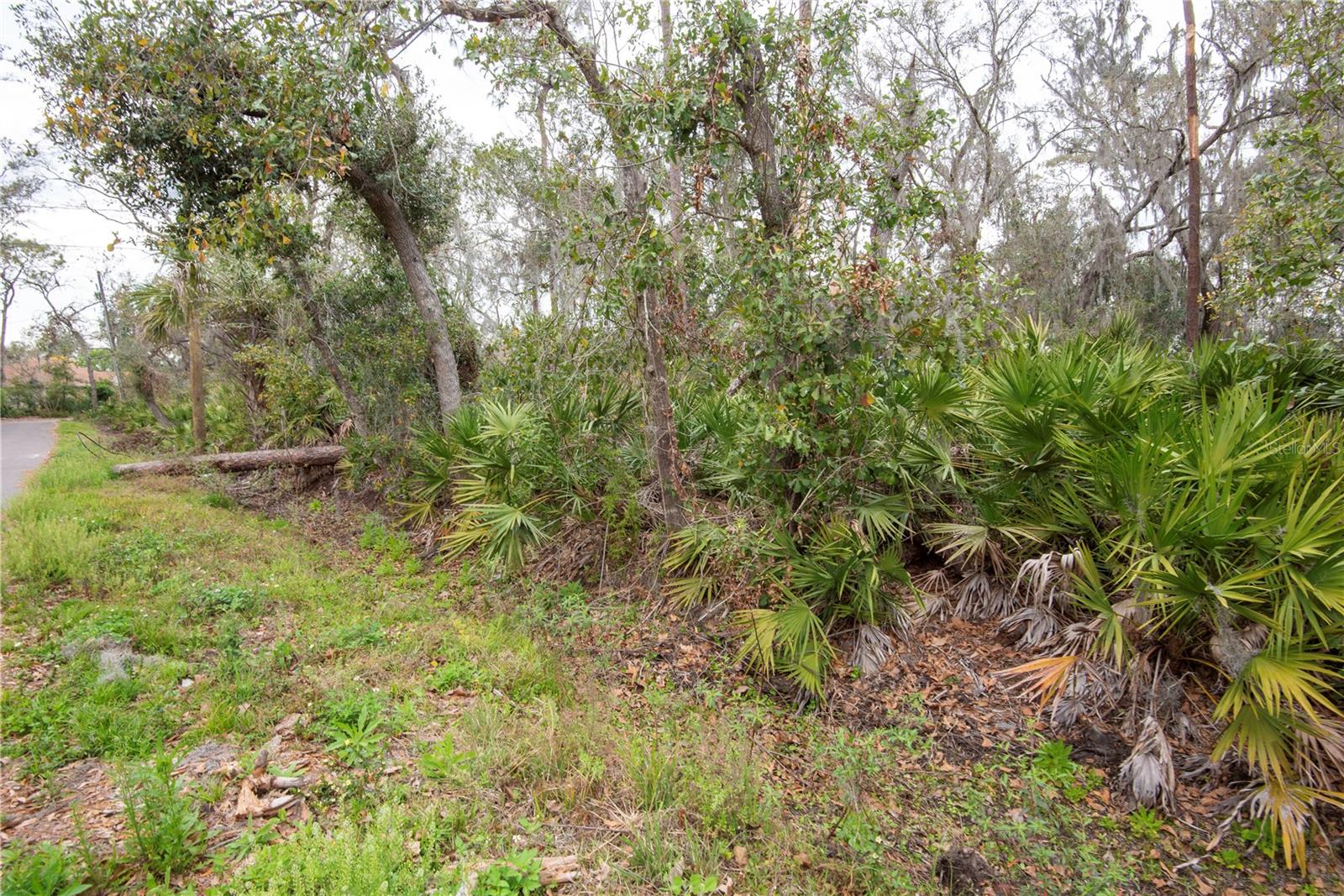 ELLIOT ST, RIVERVIEW, FL, 33578