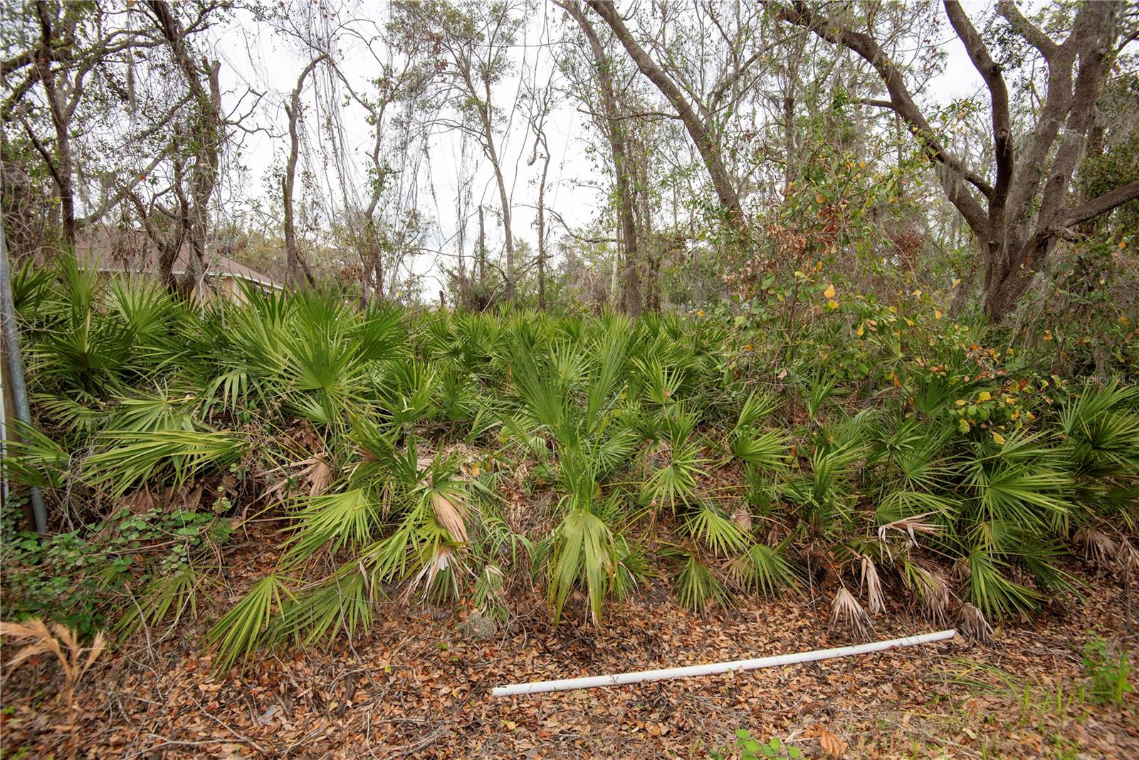 ELLIOT ST, RIVERVIEW, FL, 33578