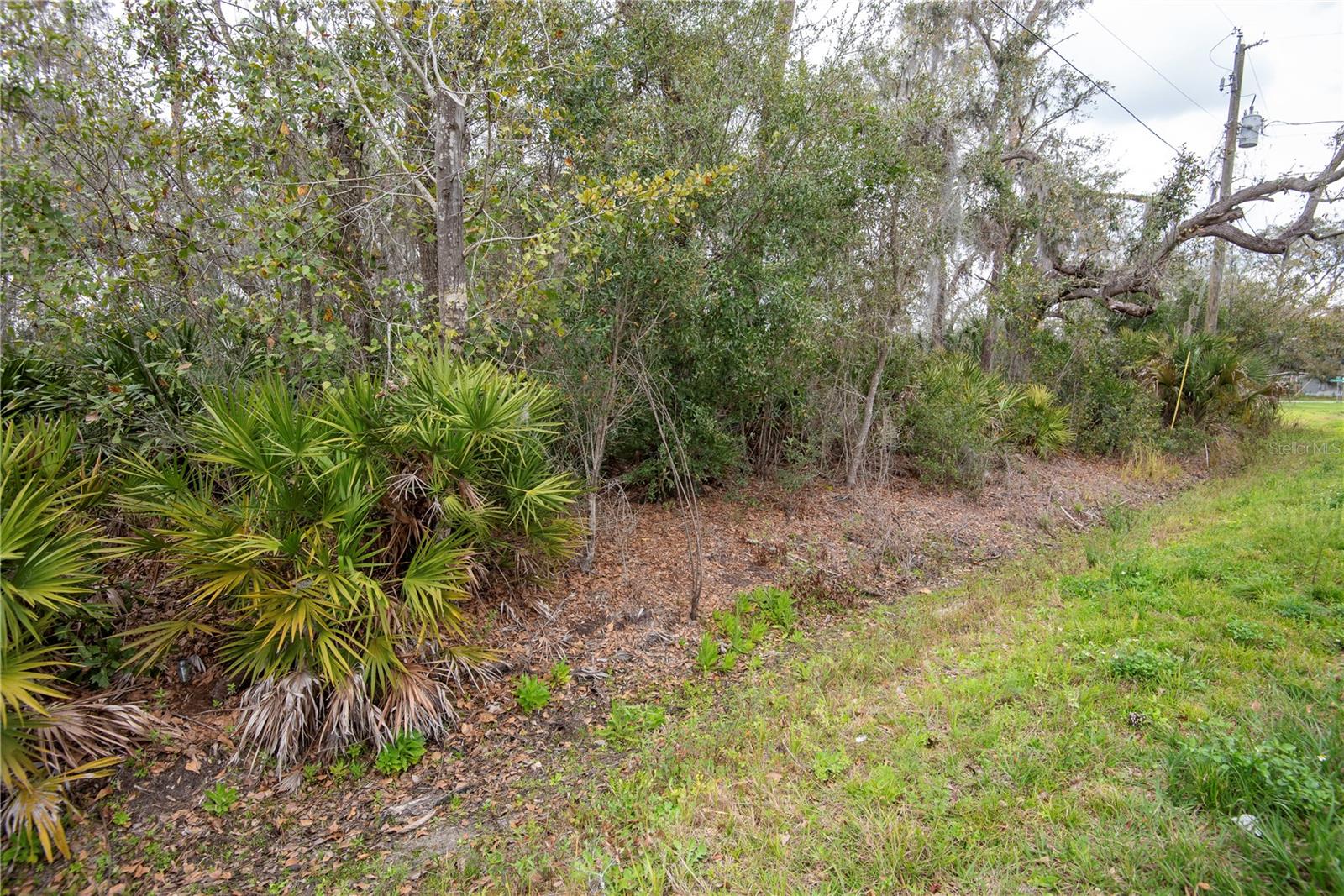 ELLIOT ST, RIVERVIEW, FL, 33578