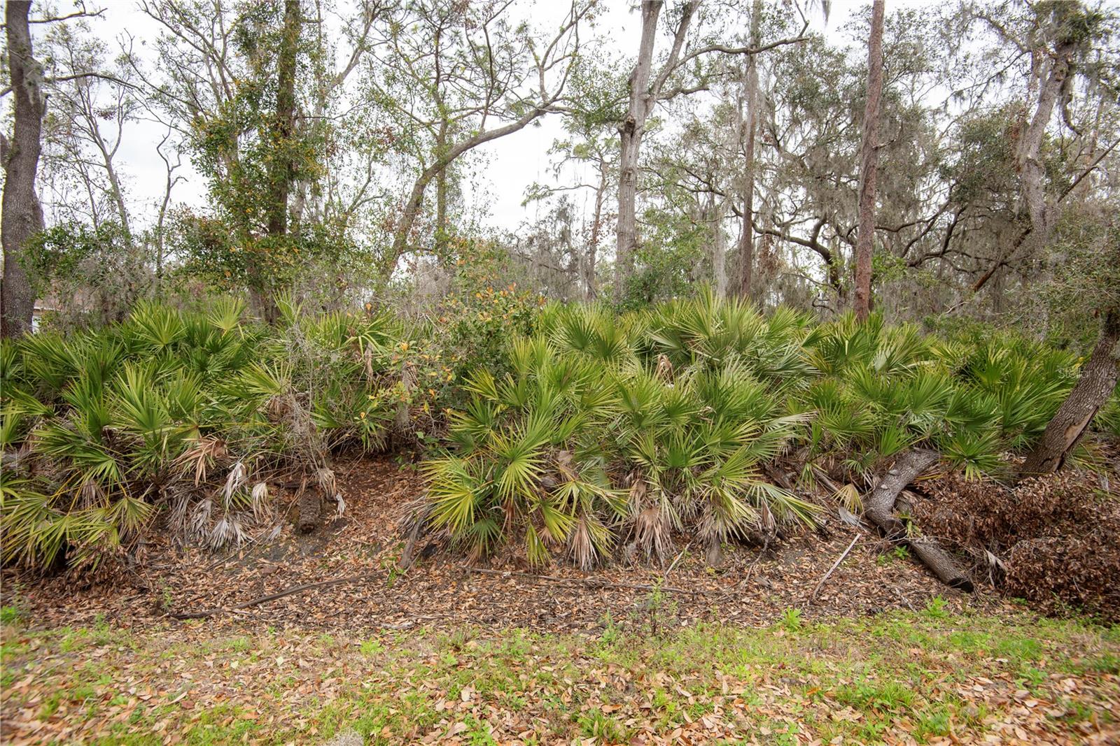 ELLIOT ST, RIVERVIEW, FL, 33578