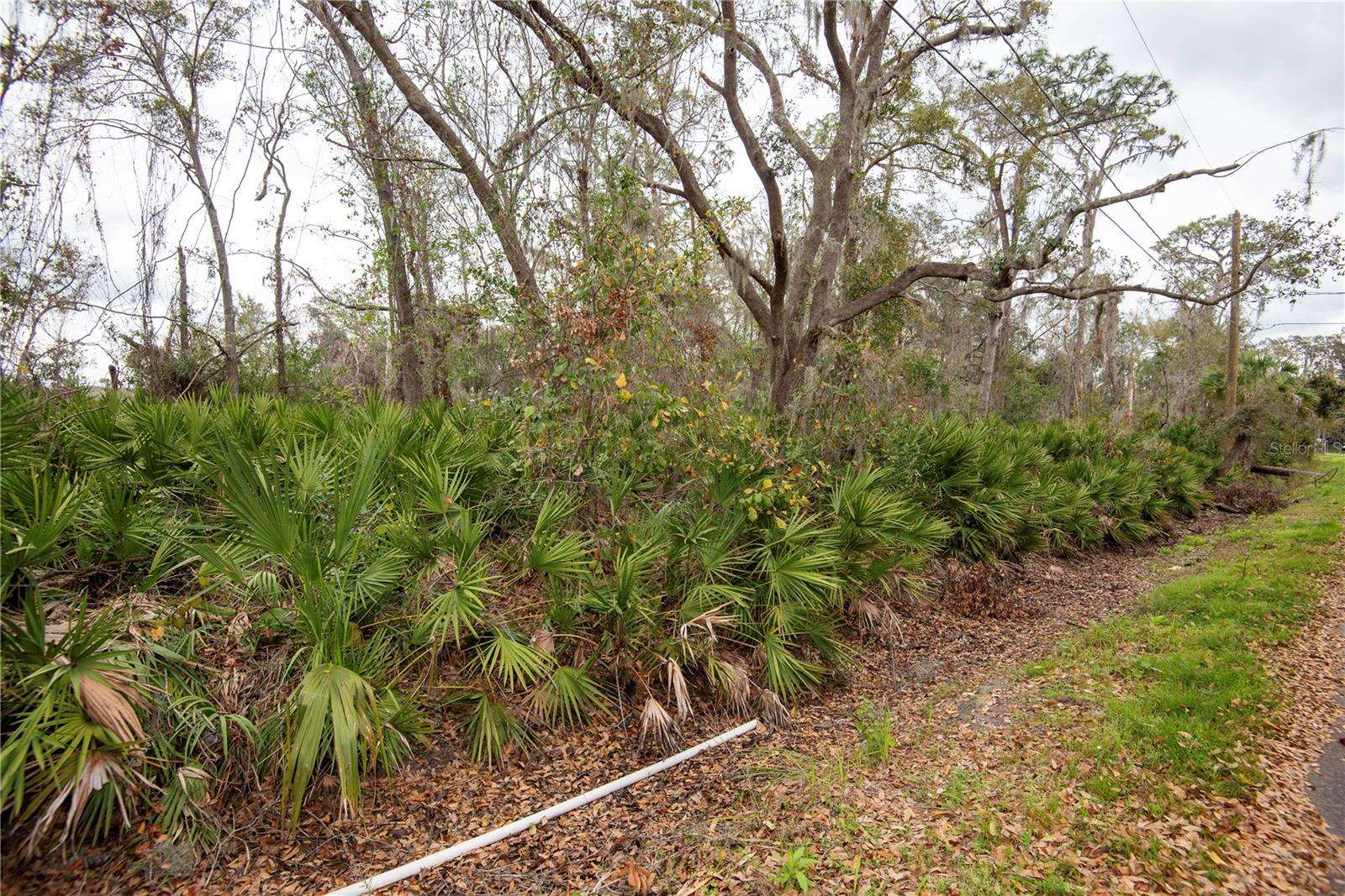 ELLIOT ST, RIVERVIEW, FL, 33578