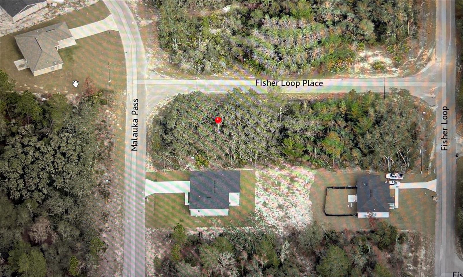 TBD FISHER LOOP PLACE, OCKLAWAHA, FL, 32179