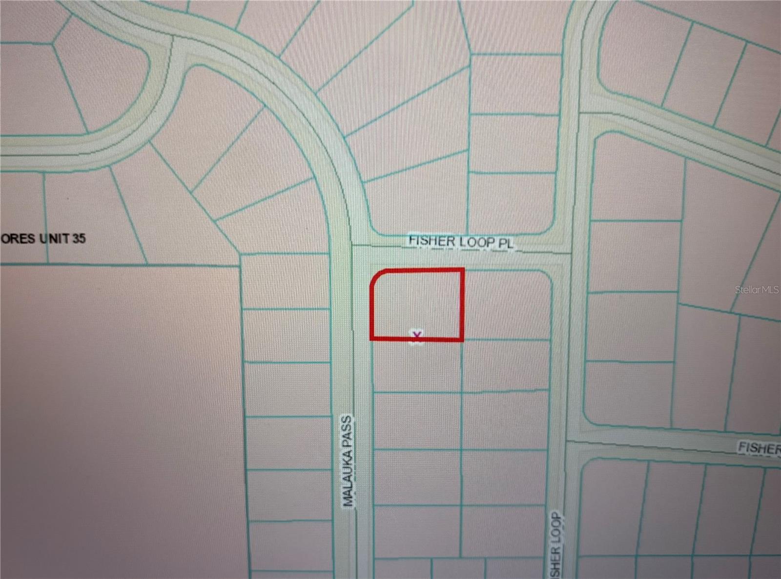 TBD FISHER LOOP PLACE, OCKLAWAHA, FL, 32179