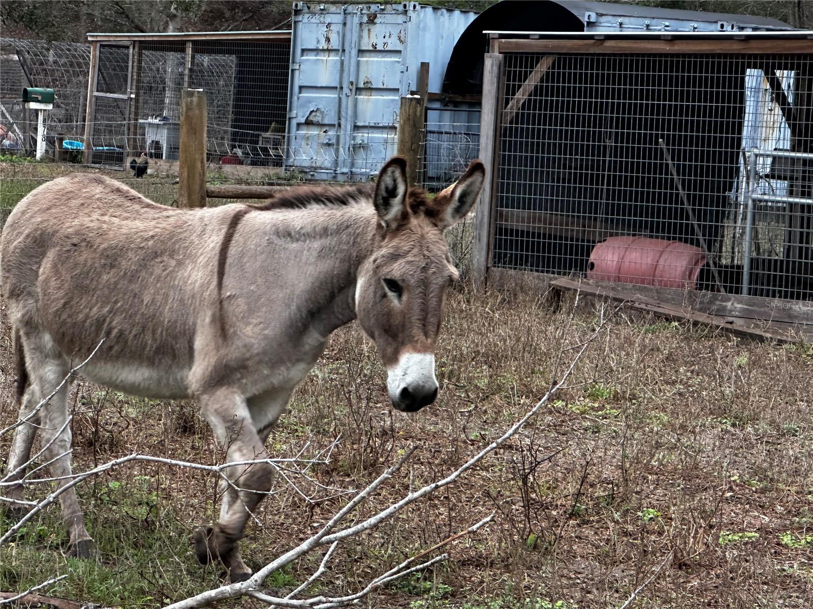 1478 E C 462, WILDWOOD, FL, 34785