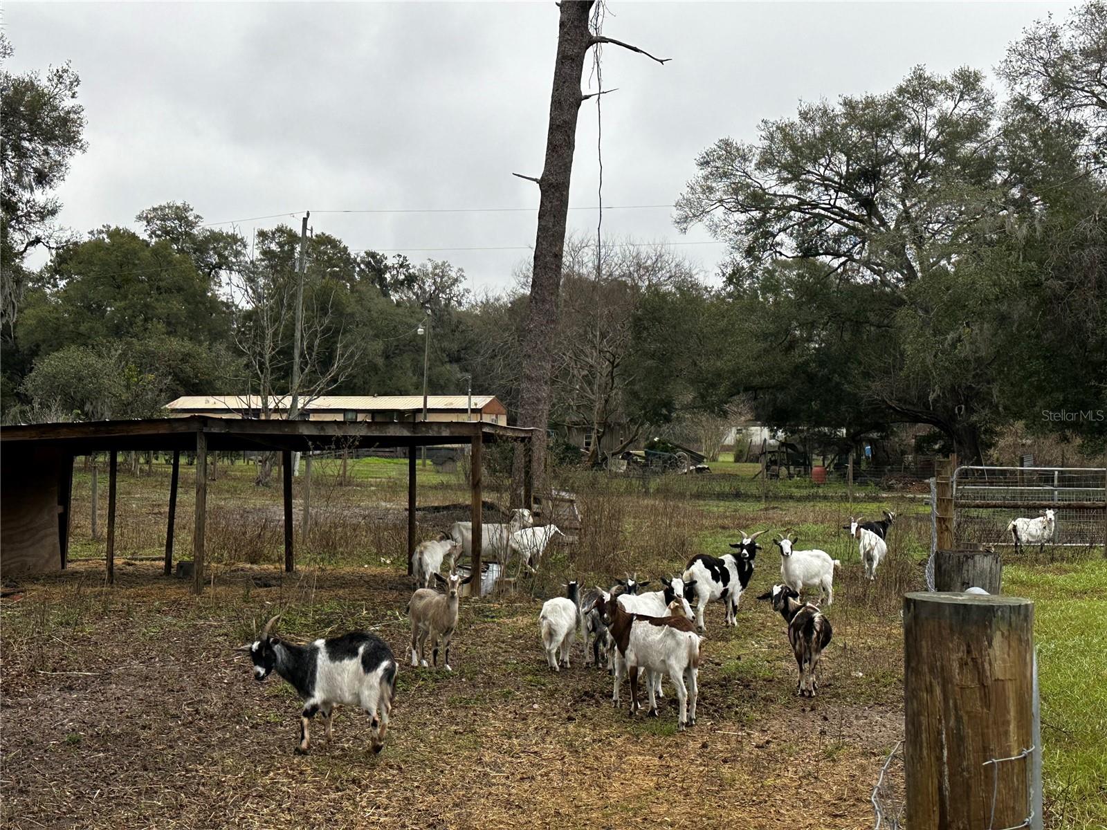 1478 E C 462, WILDWOOD, FL, 34785