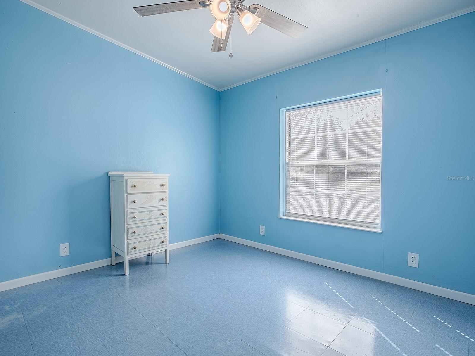 2569 CR 673, BUSHNELL, FL, 33513