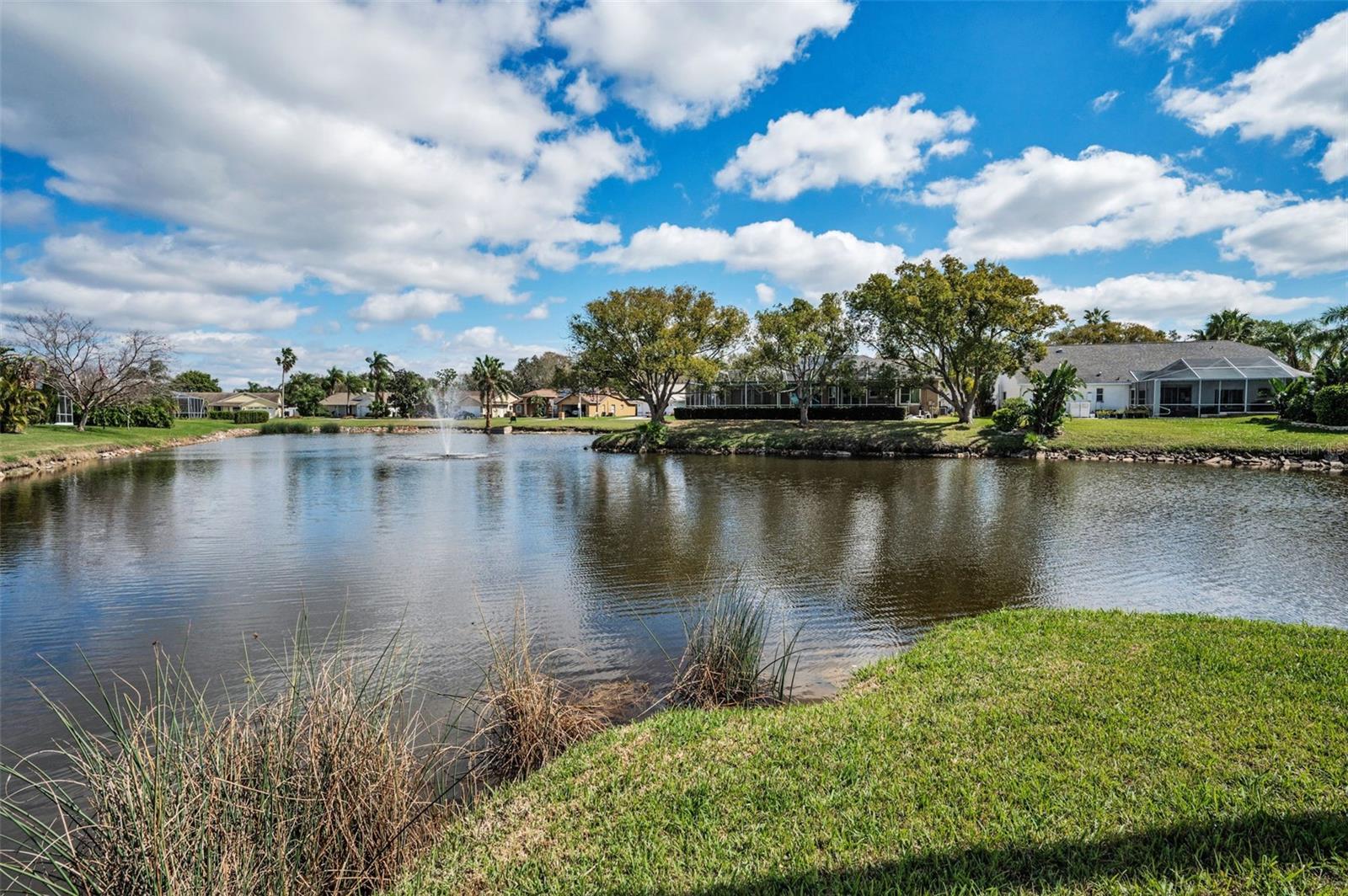811 CHRISTINA CIR, OLDSMAR, FL, 34677