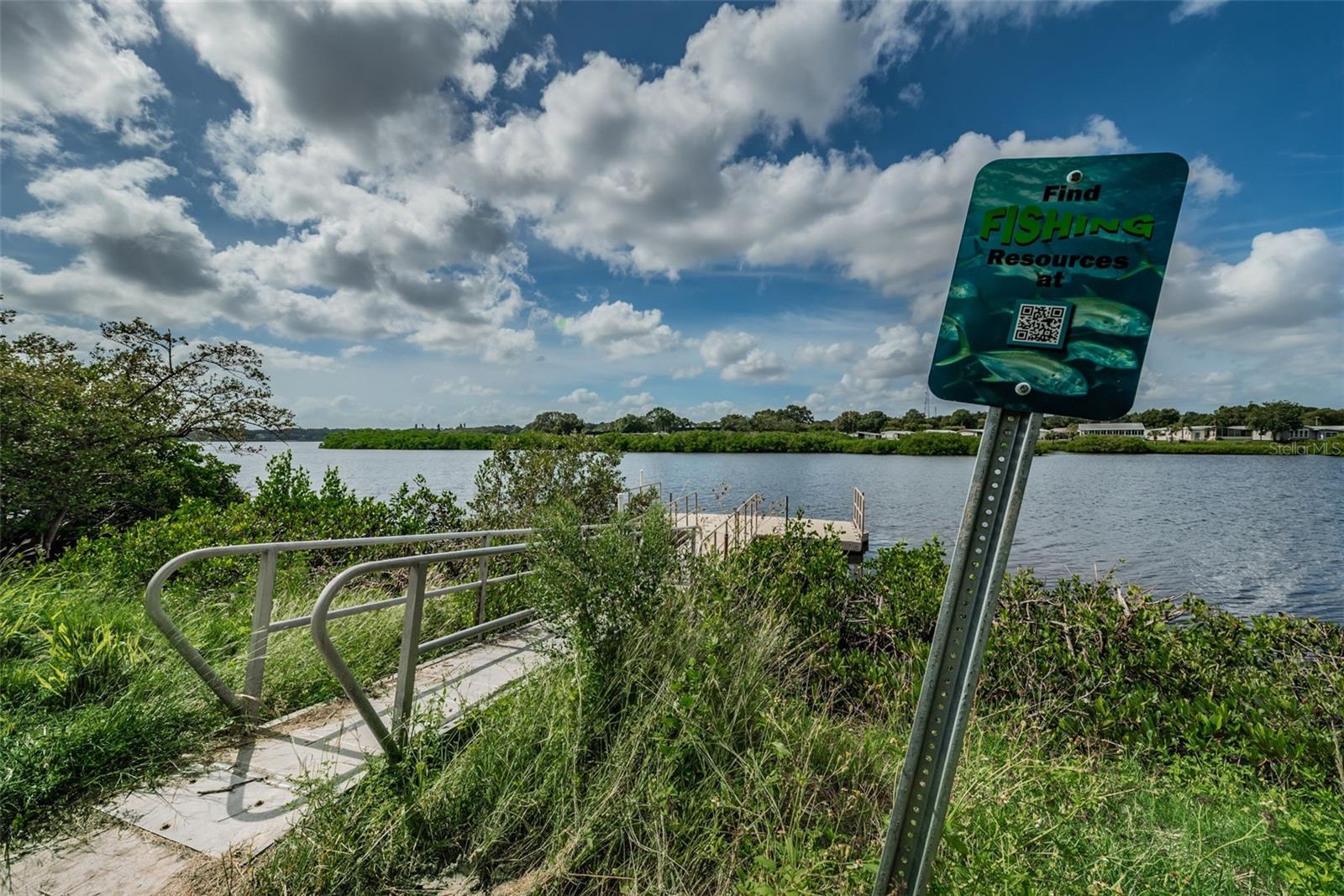 811 CHRISTINA CIR, OLDSMAR, FL, 34677