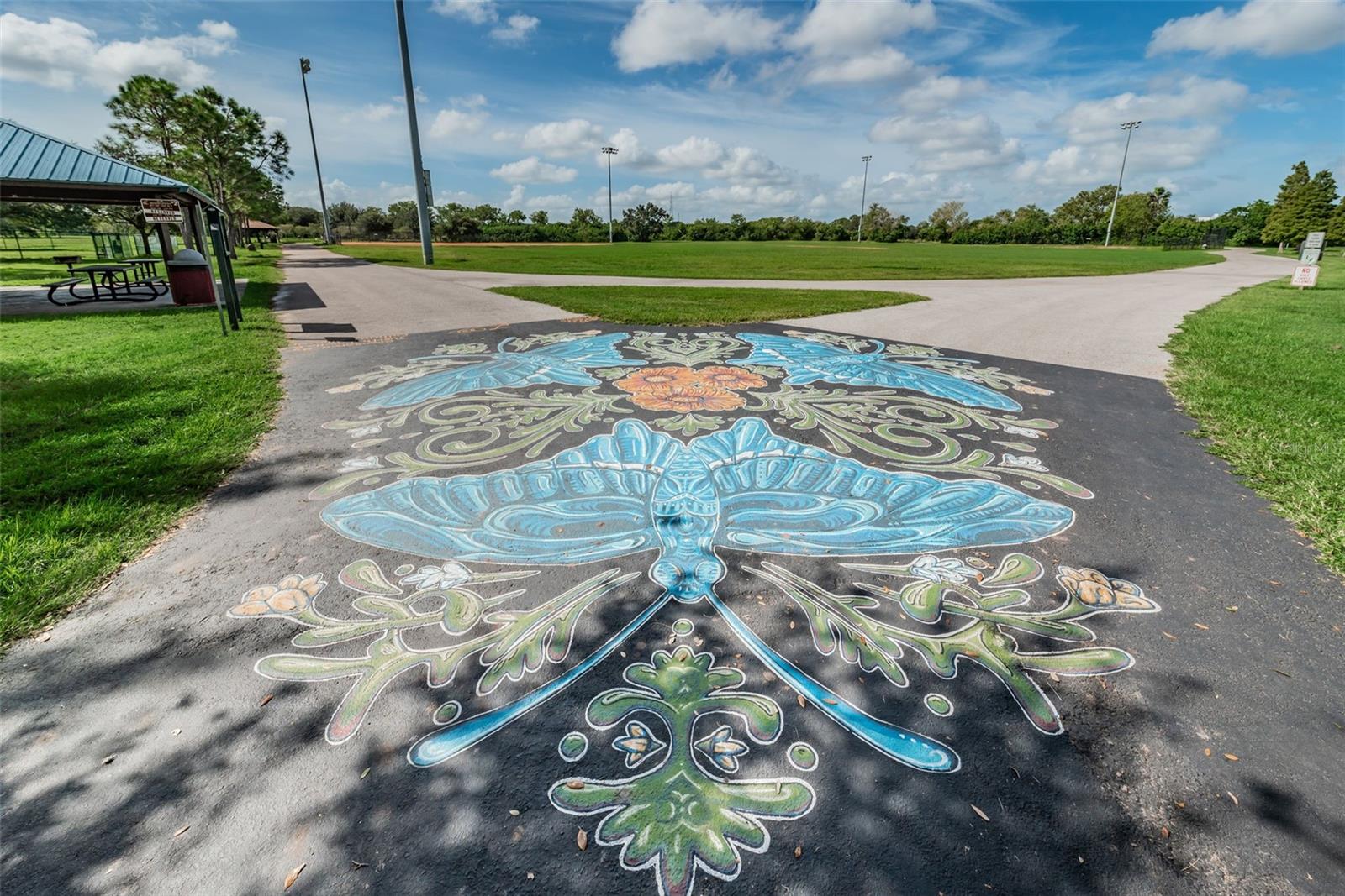 811 CHRISTINA CIR, OLDSMAR, FL, 34677