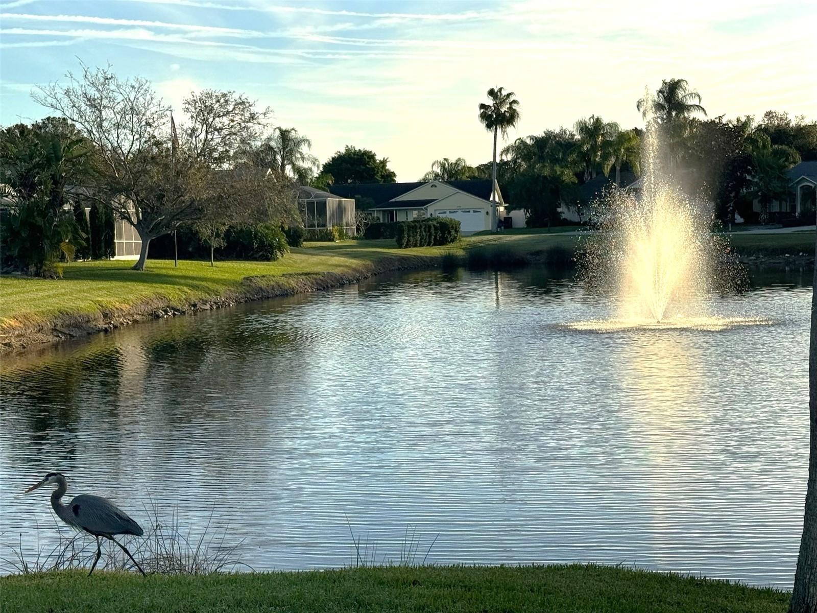 811 CHRISTINA CIR, OLDSMAR, FL, 34677