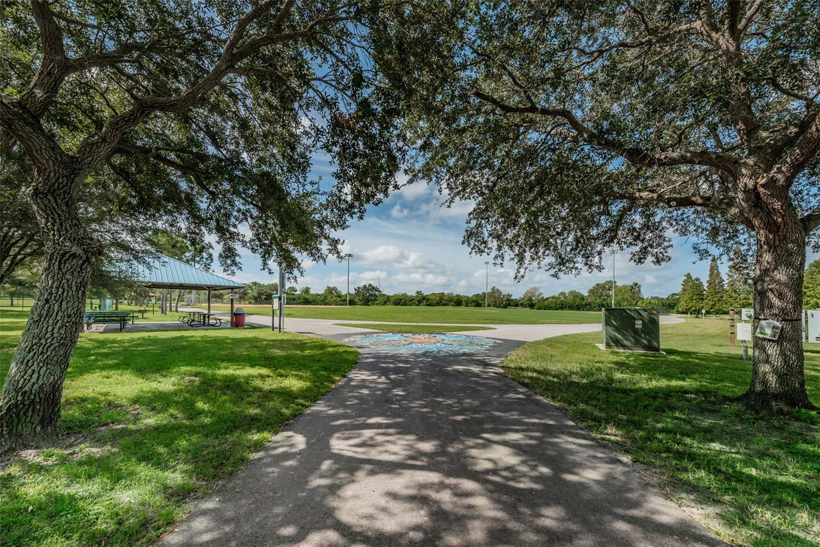 811 CHRISTINA CIR, OLDSMAR, FL, 34677