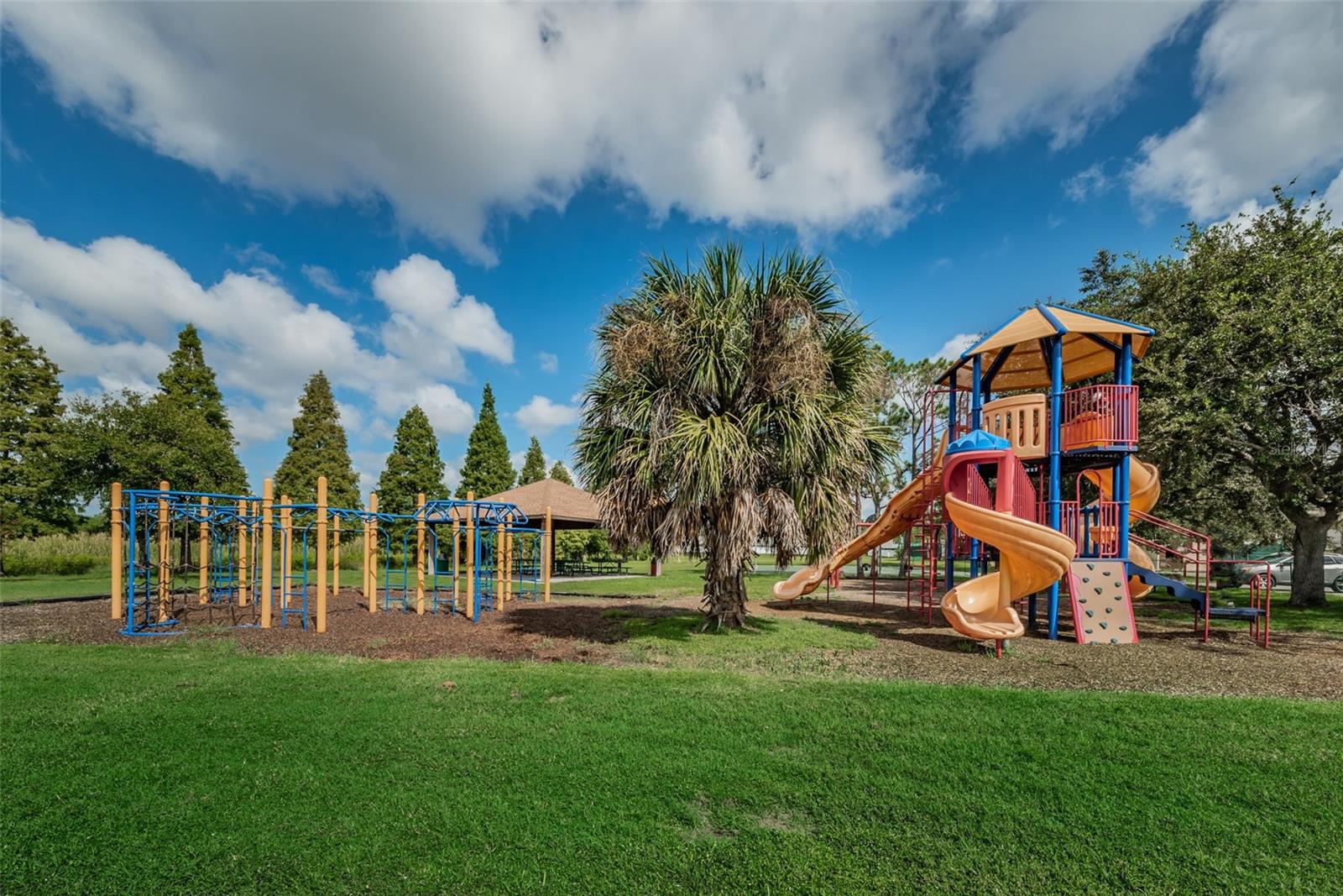 811 CHRISTINA CIR, OLDSMAR, FL, 34677