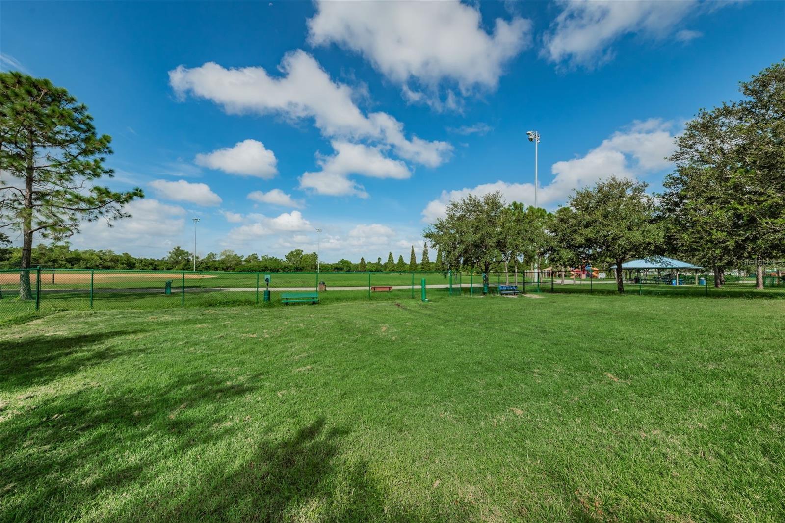 811 CHRISTINA CIR, OLDSMAR, FL, 34677