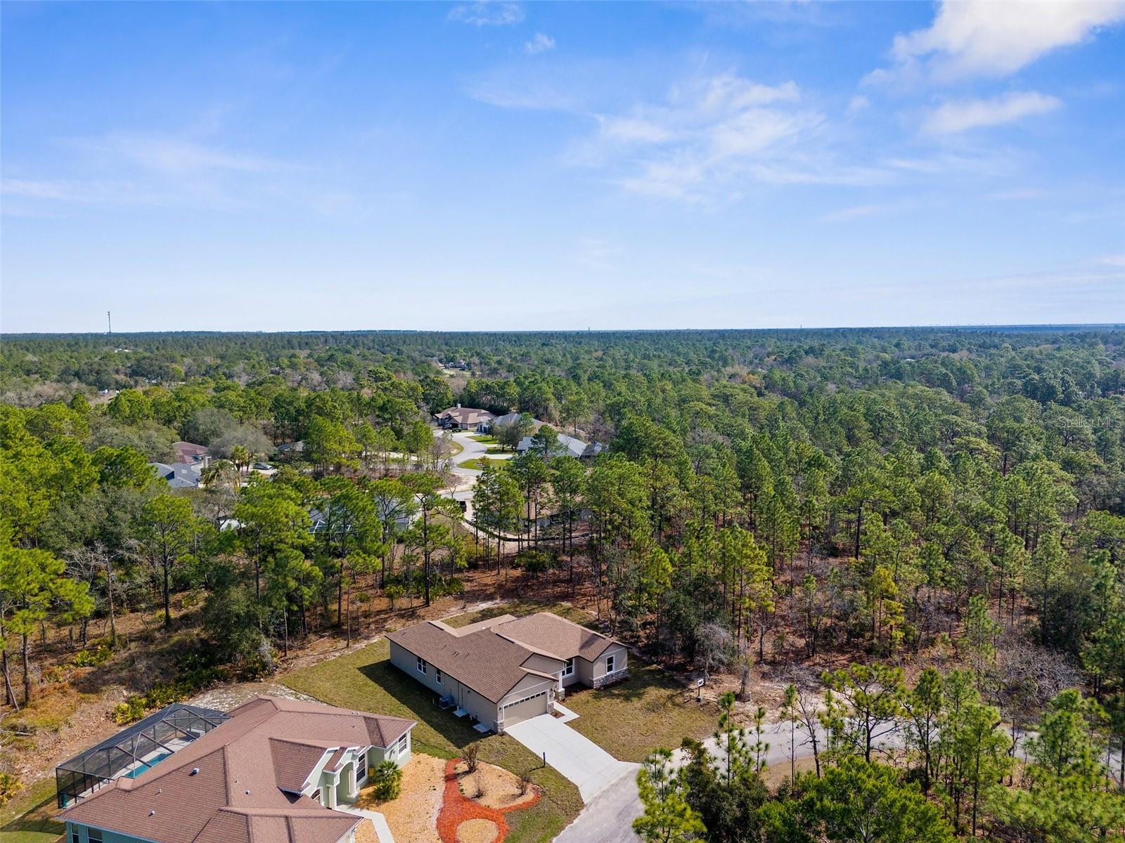 66 TORENIA VERBENAS CT, HOMOSASSA, FL, 34446