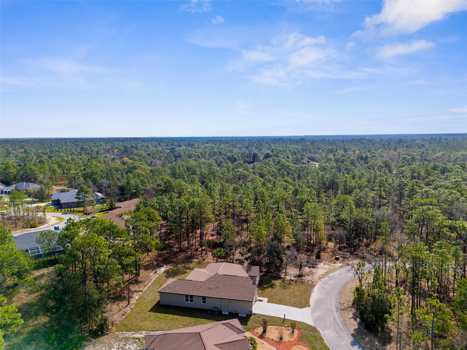 66 TORENIA VERBENAS CT, HOMOSASSA, FL, 34446
