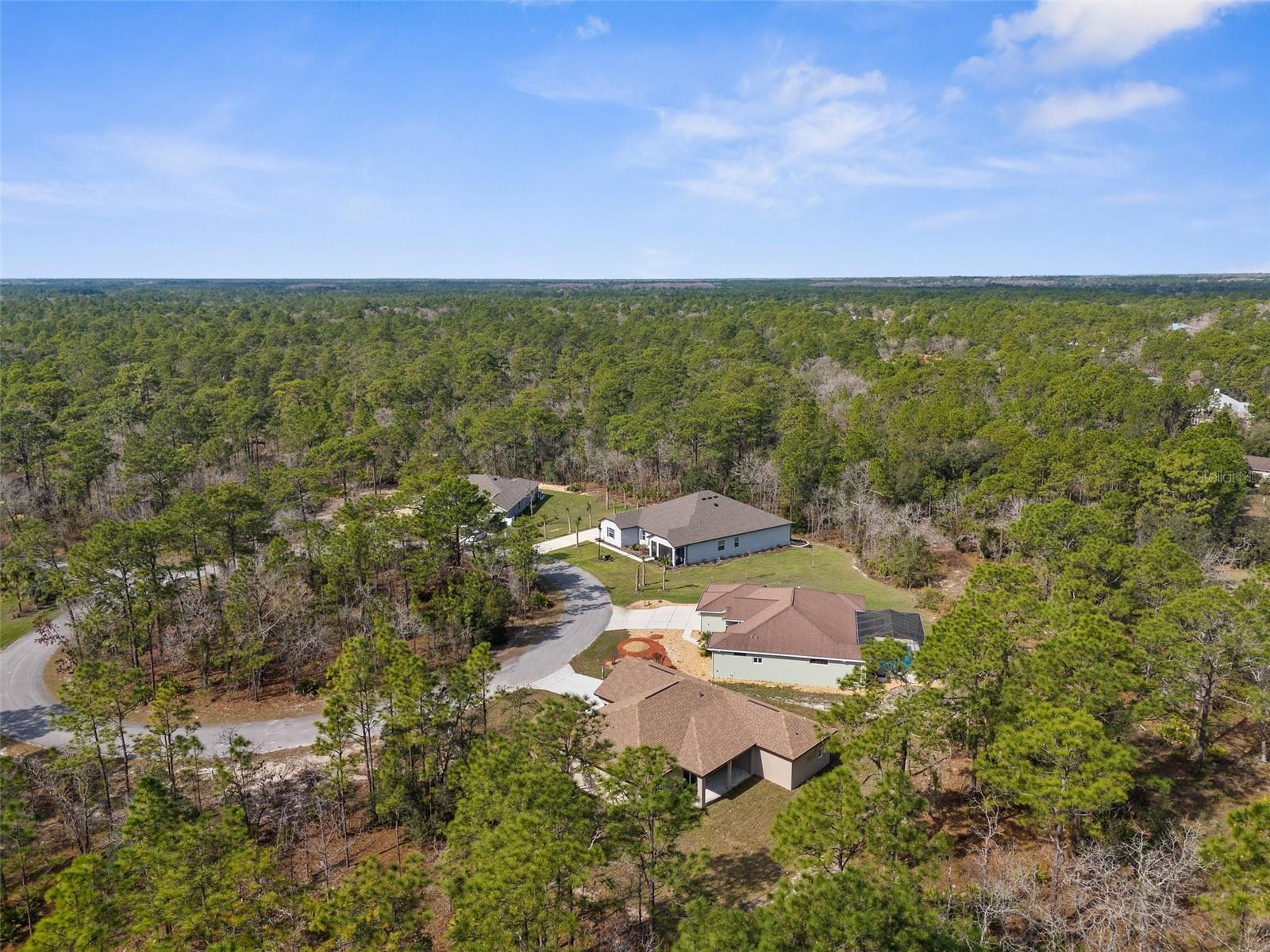 66 TORENIA VERBENAS CT, HOMOSASSA, FL, 34446