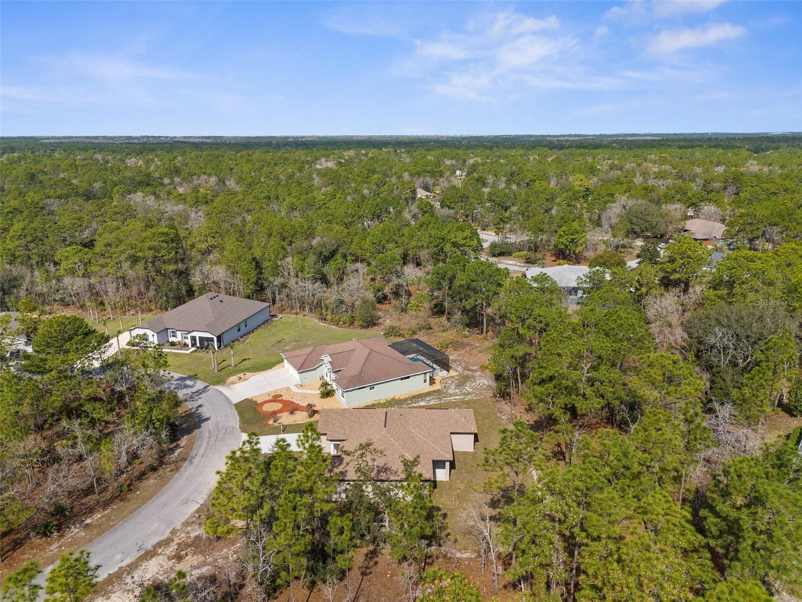 66 TORENIA VERBENAS CT, HOMOSASSA, FL, 34446