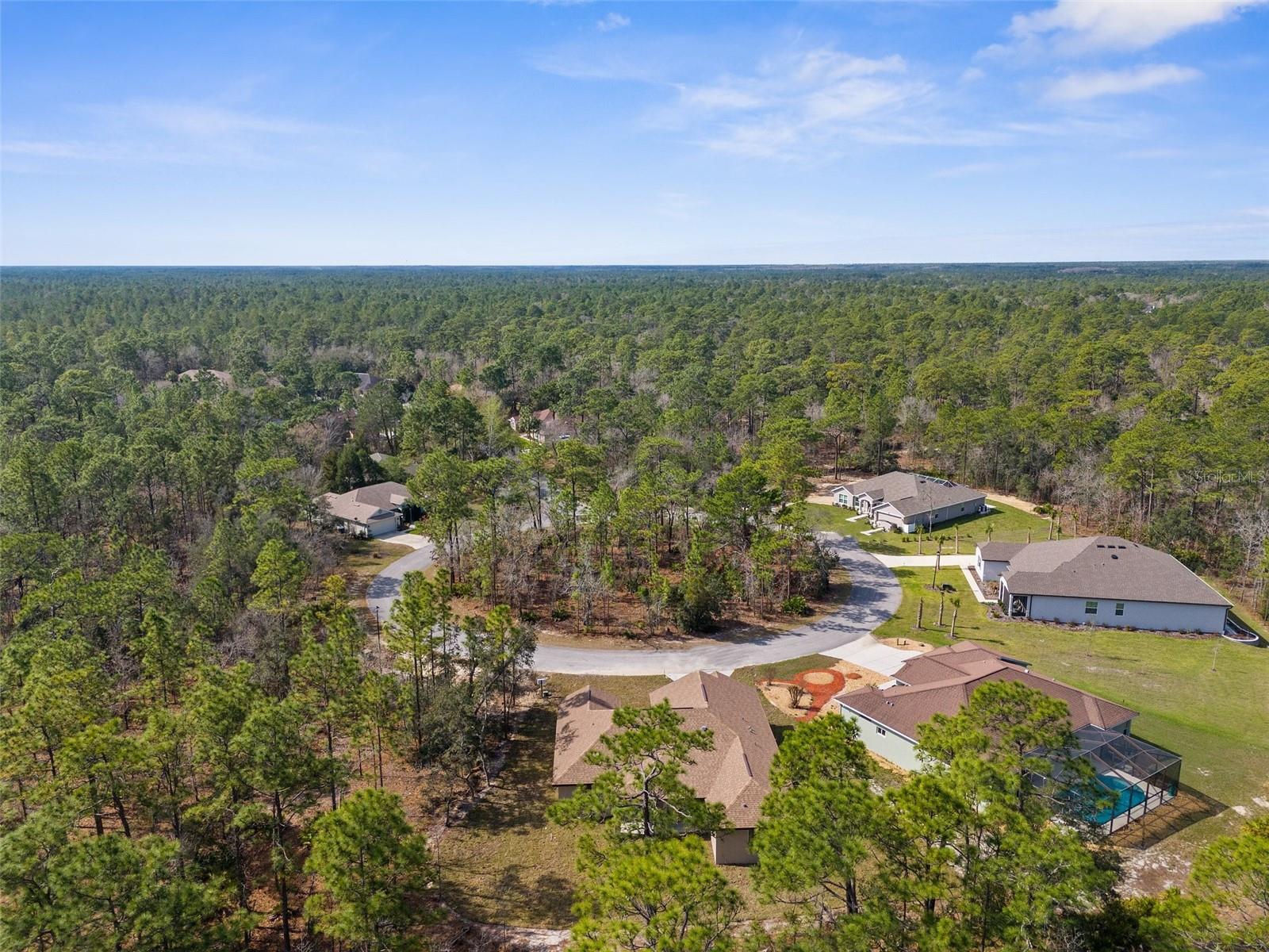66 TORENIA VERBENAS CT, HOMOSASSA, FL, 34446