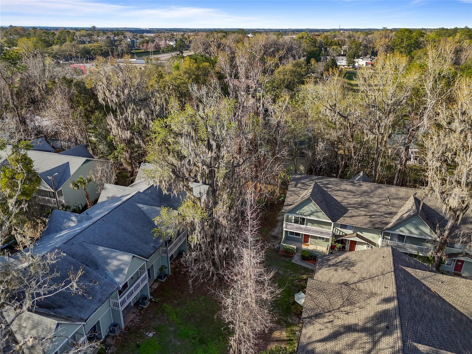 4411 SW 34TH ST #1301, GAINESVILLE, FL, 32608