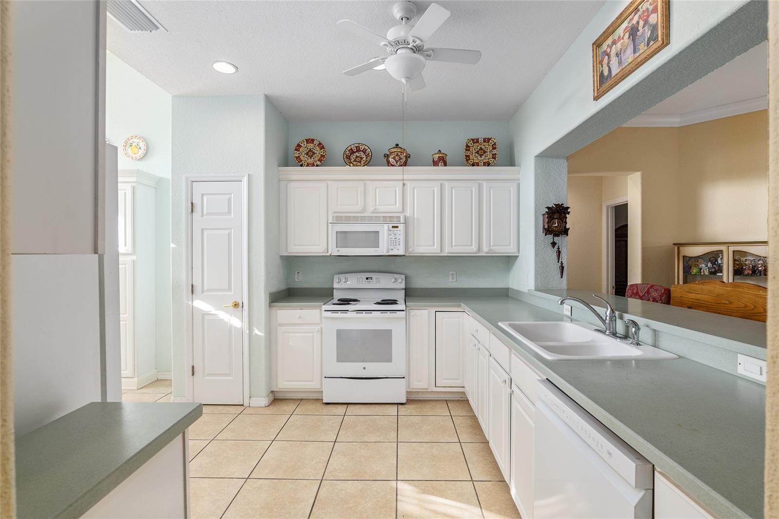 12239 SE 92ND COURT RD, SUMMERFIELD, FL, 34491