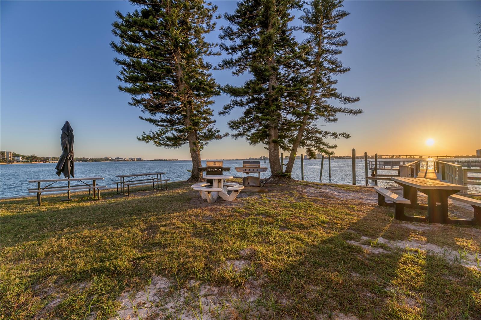 100 PIERCE ST #1102, CLEARWATER, FL, 33756