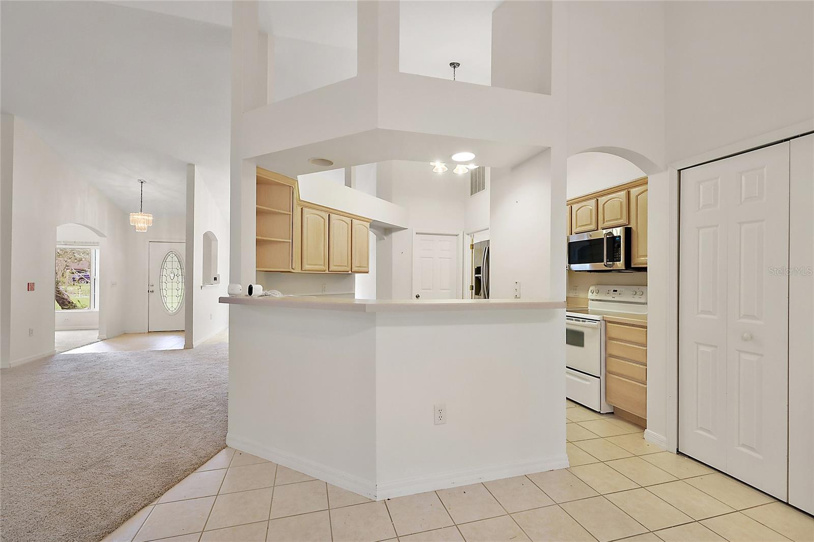 2541 LAKE GRIFFIN RD, LADY LAKE, FL, 32159