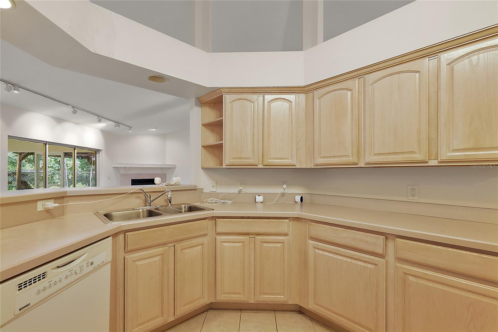 2541 LAKE GRIFFIN RD, LADY LAKE, FL, 32159