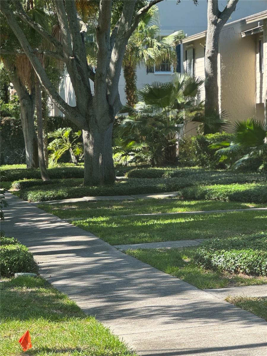 5231 BAYSHORE BLVD #10, TAMPA, FL, 33611