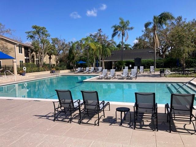 4001 CROCKERS LAKE BLVD #16, SARASOTA, FL, 34238