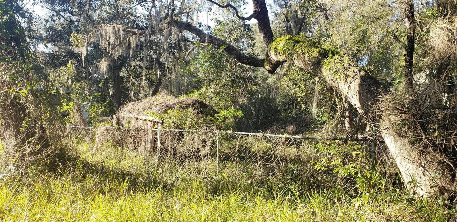 24999 NE 133RD PL, SALT SPRINGS, FL, 32134