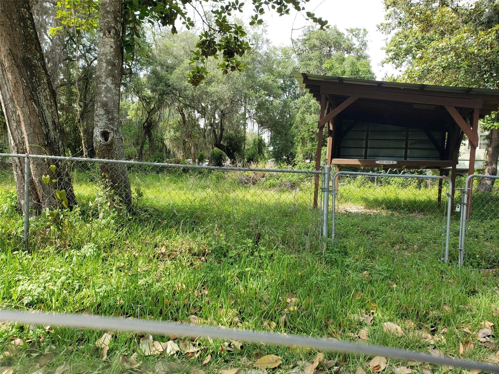 24999 NE 133RD PL, SALT SPRINGS, FL, 32134