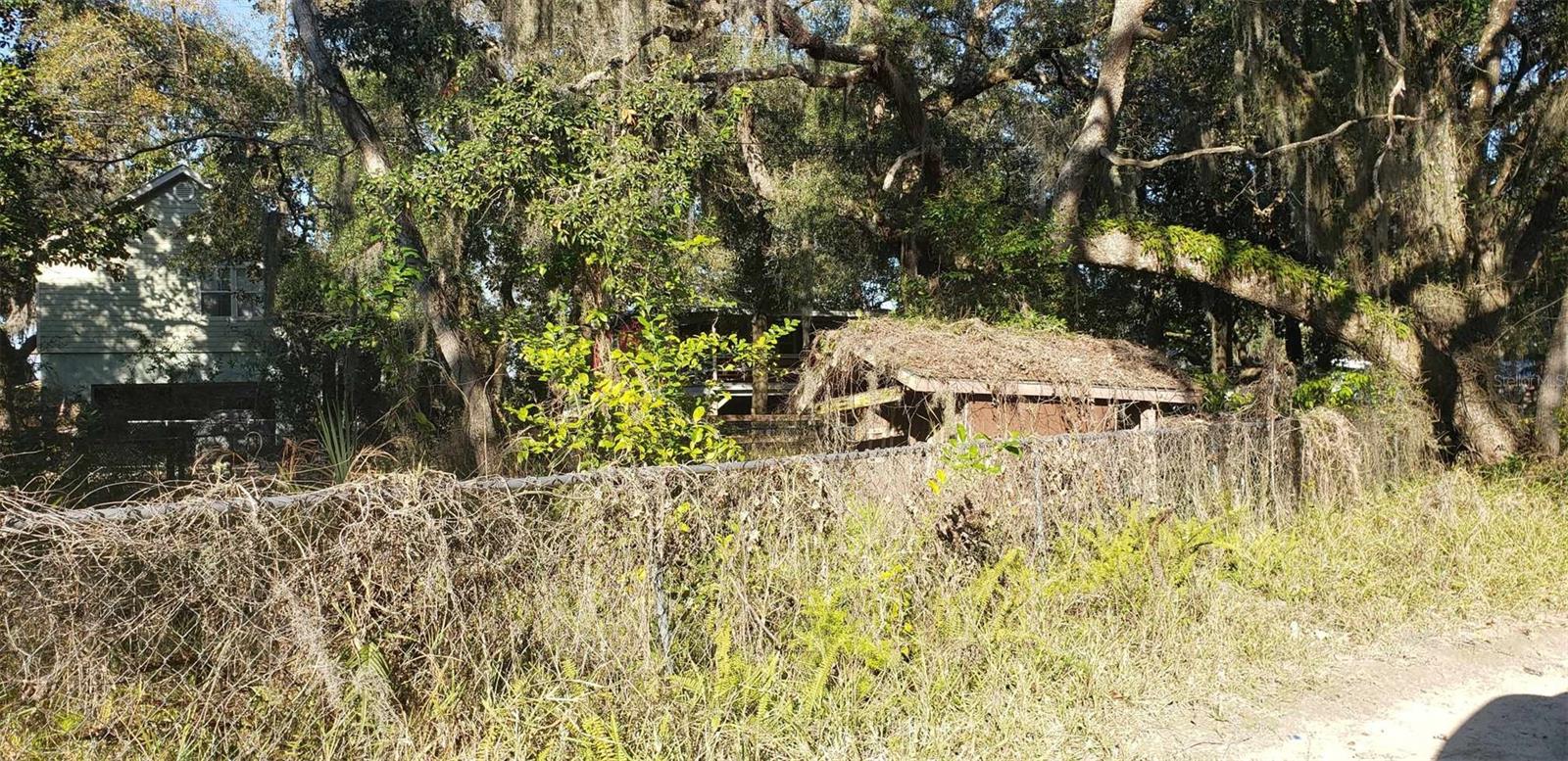 24999 NE 133RD PL, SALT SPRINGS, FL, 32134