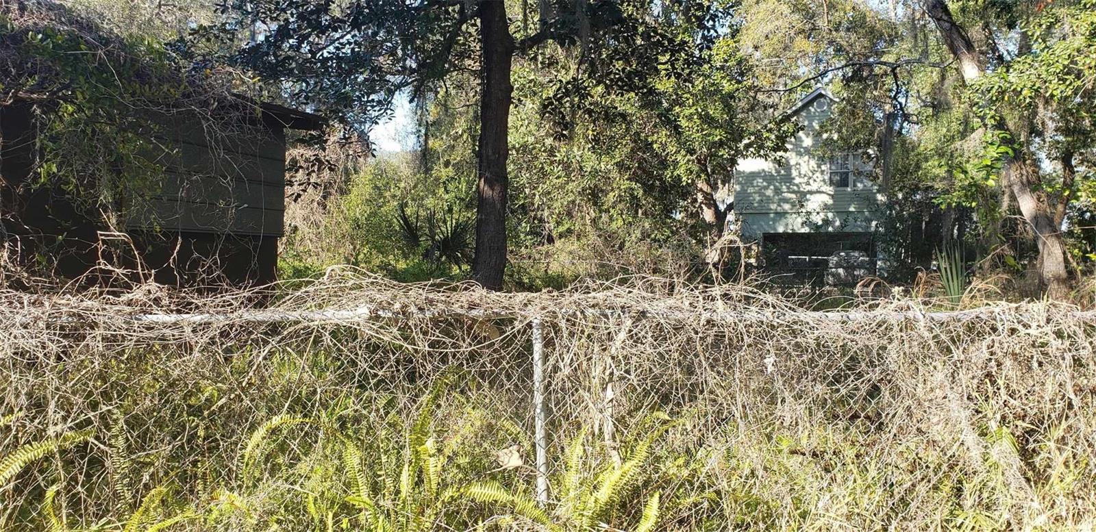 24999 NE 133RD PL, SALT SPRINGS, FL, 32134