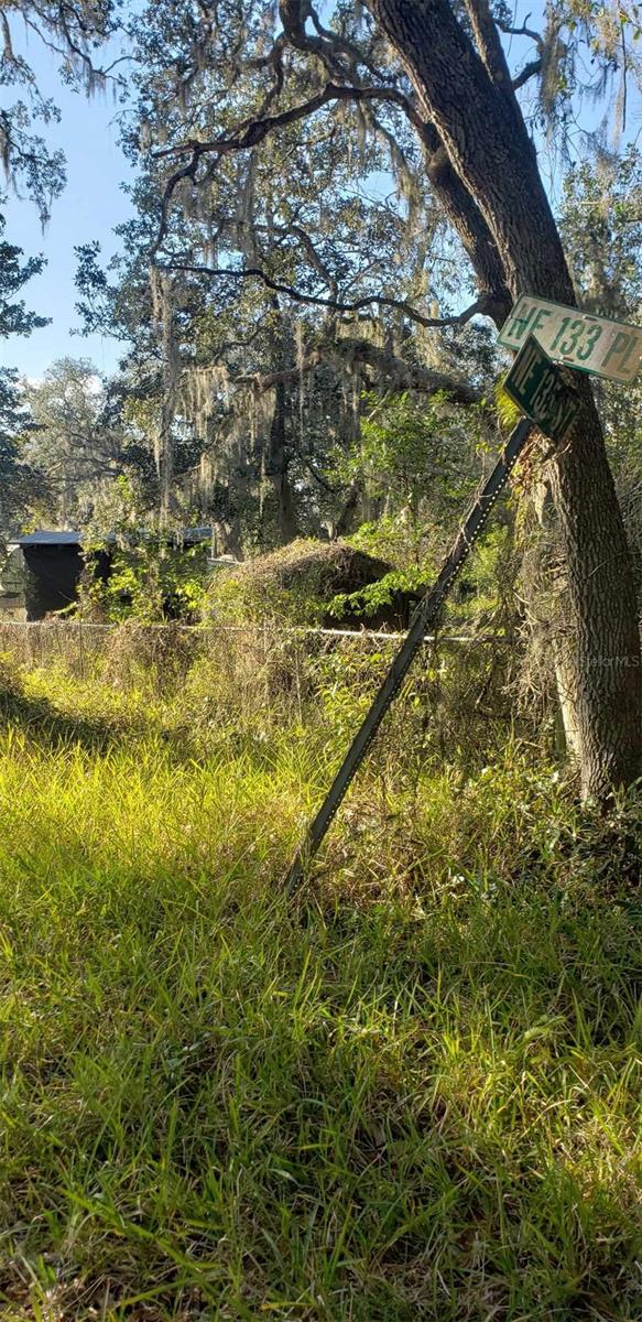 24999 NE 133RD PL, SALT SPRINGS, FL, 32134