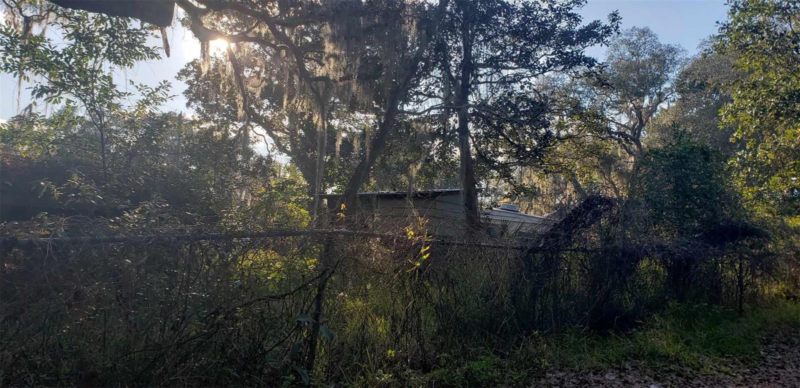 24999 NE 133RD PL, SALT SPRINGS, FL, 32134