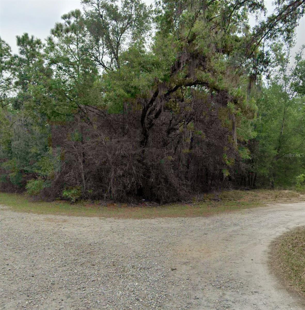 COSTA & SON INC, CRYSTAL RIVER, FL, 34428