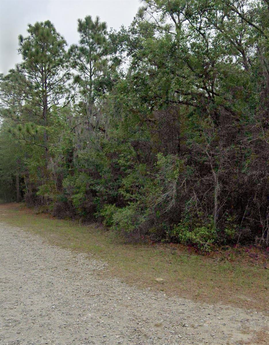 COSTA & SON INC, CRYSTAL RIVER, FL, 34428