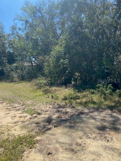 S MARY ST, EUSTIS, FL, 32726