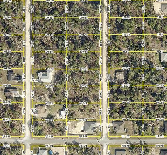 14 ENGLISH PARROT, BROOKSVILLE, FL, 34614