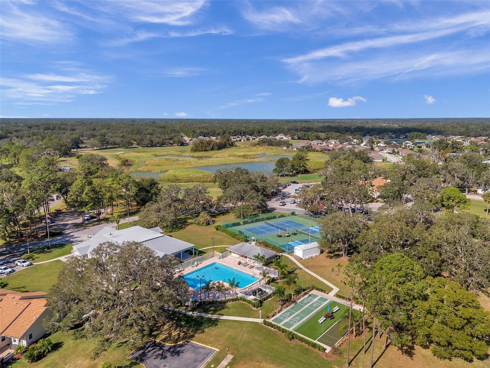 13032 PINNACLE LN, HUDSON, FL, 34669