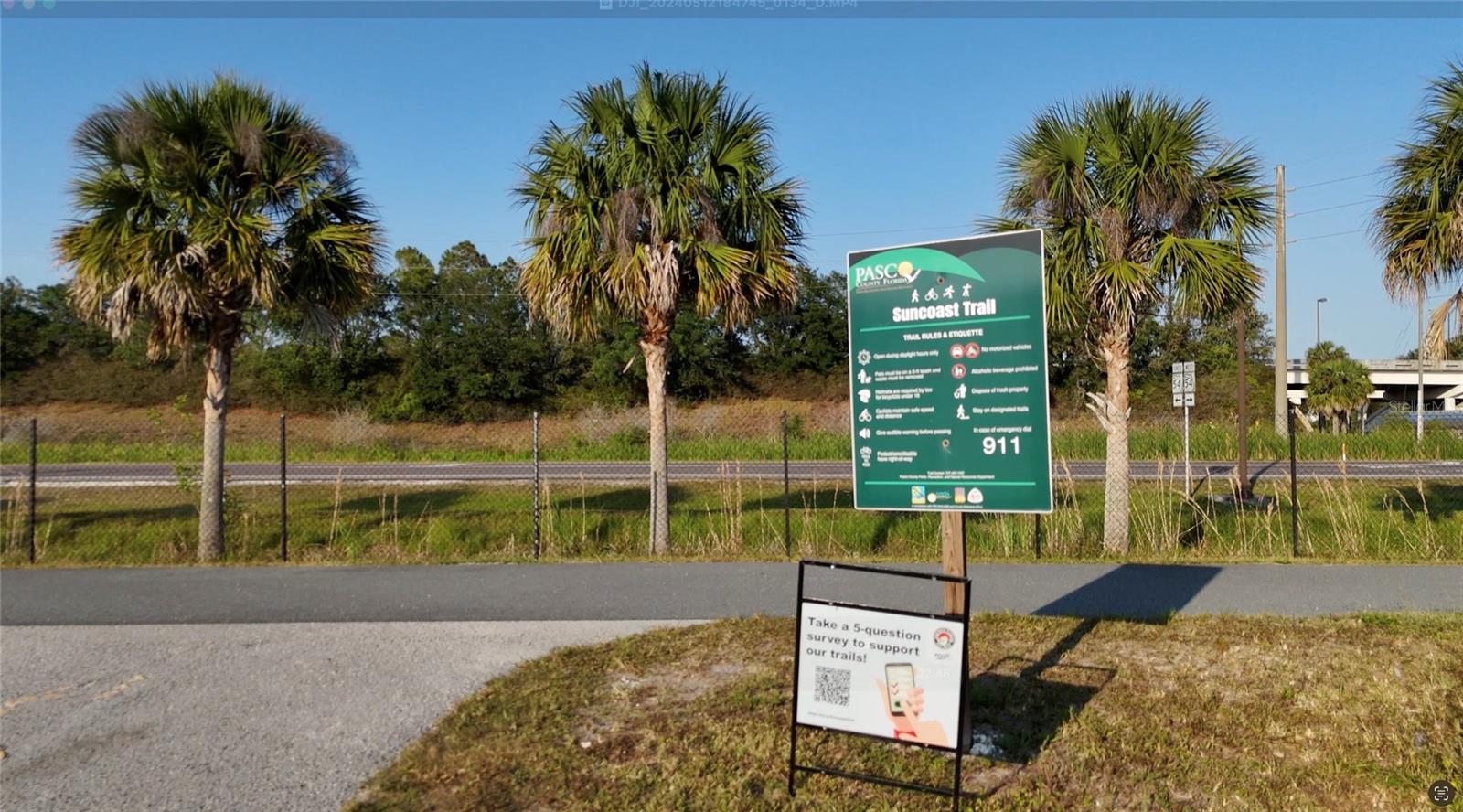 16222 SILENT SANDS LN, ODESSA, FL, 33556