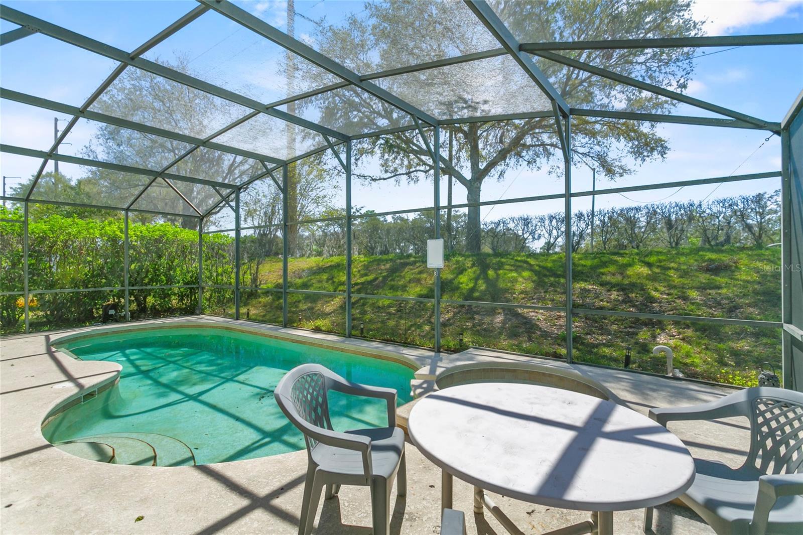 217 SAND RIDGE DR, DAVENPORT, FL, 33896