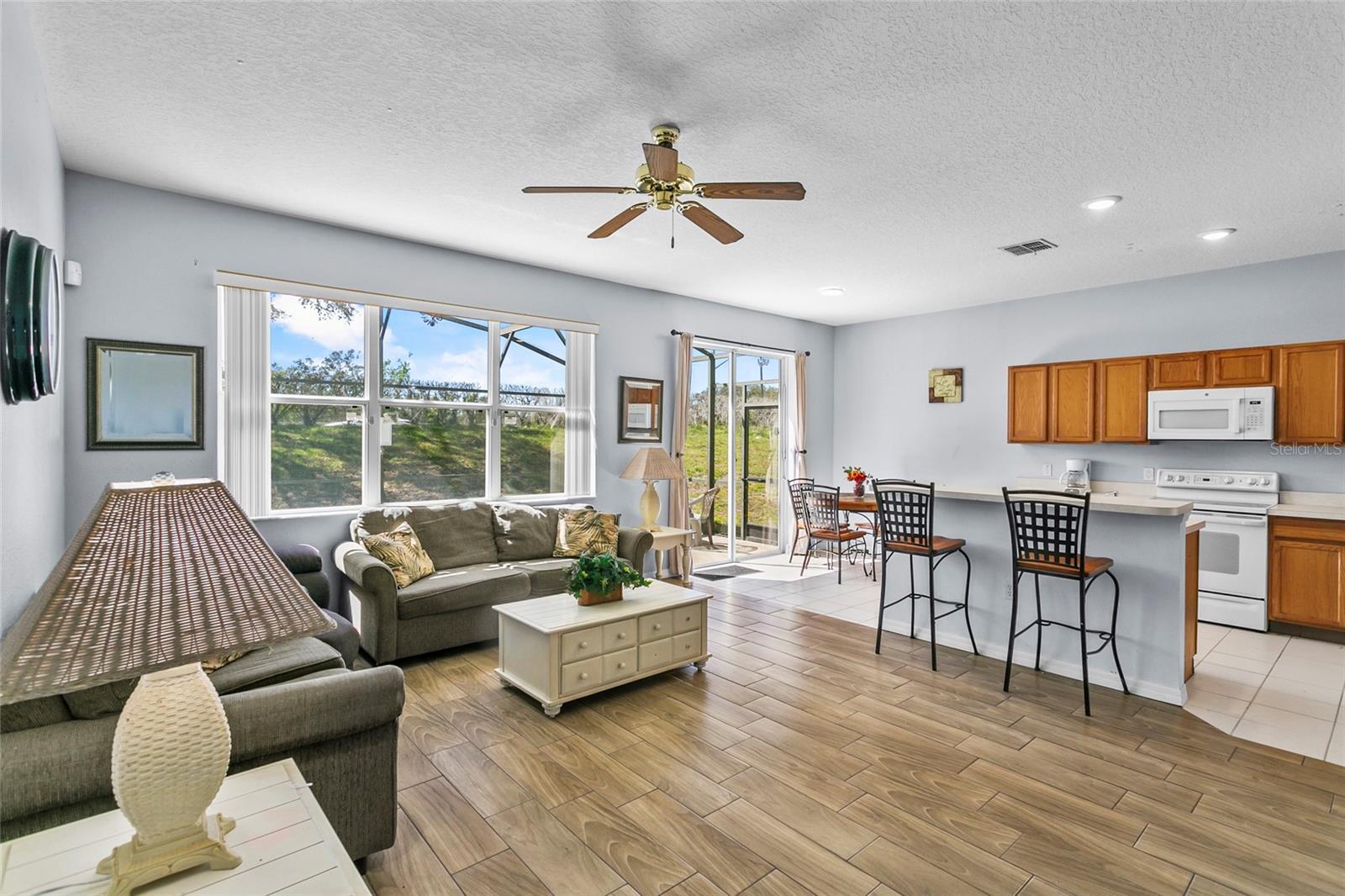 217 SAND RIDGE DR, DAVENPORT, FL, 33896