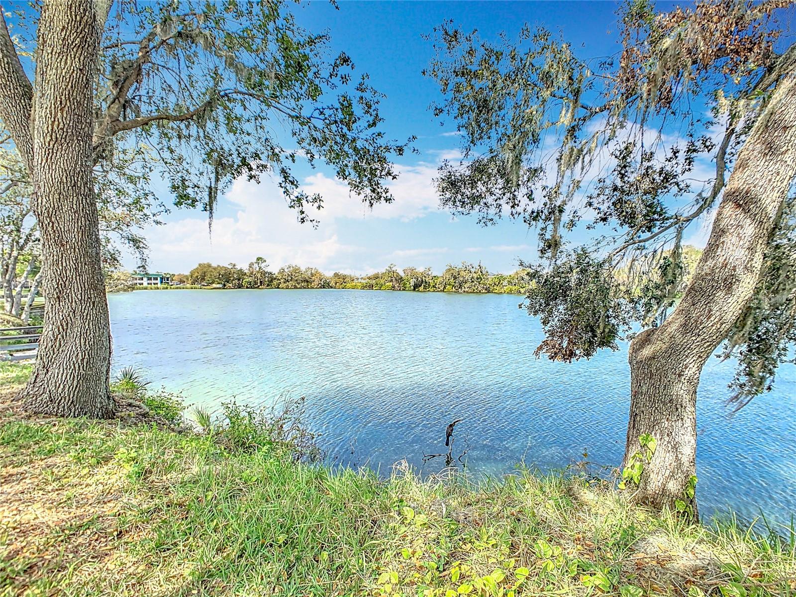5639 WATER OAK LN, MULBERRY, FL, 33860